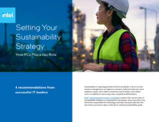 Setting Your Sustainability Strategy